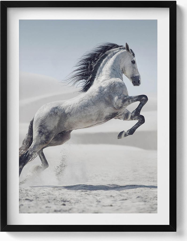 Galoppierendes weißes Pferd– Wandbild mit Rahmen – Gerahmtes Bild – Wanddekoration – 60x80 cm – Schwarz Rahmen