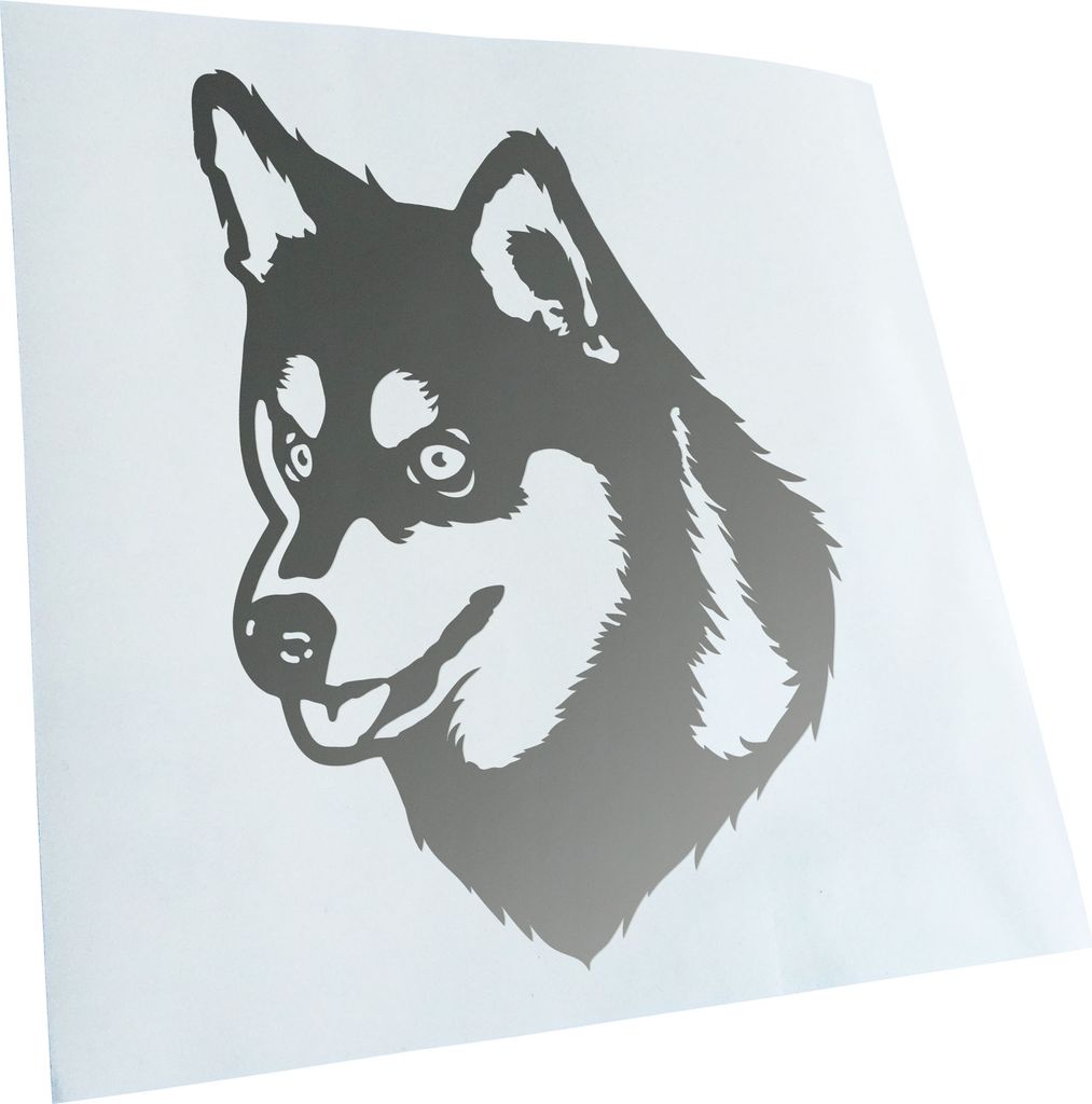 Kiwistar - Autoaufkleber - Alaskan Klee Kai Hund - Silber - 50x36cm - Aufkleber für Auto, Laptop, Fahrrad, LKW, Motorrad mehrfarbig JDM Decal Racing