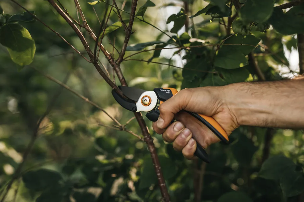 Offerta Fiskars P361 Solid - Forbici Potatura Professionali L - 12