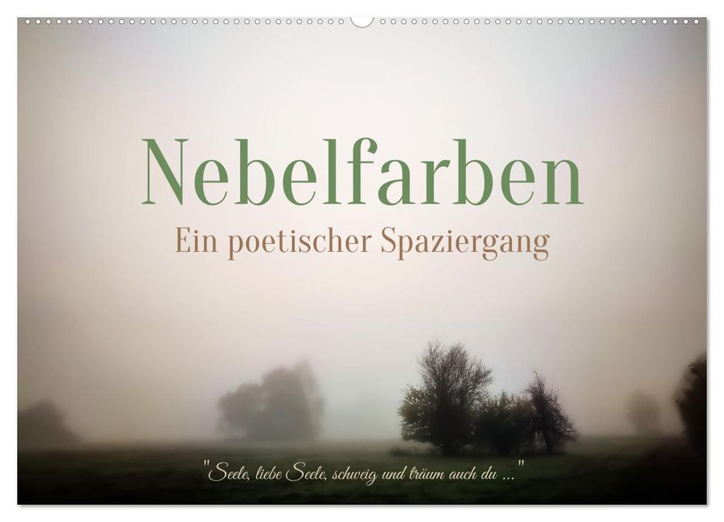 Nebelfarben. Ein poetischer Spaziergang (Wandkalender 2027 DIN A2 quer), CALVENDO Monatskalender