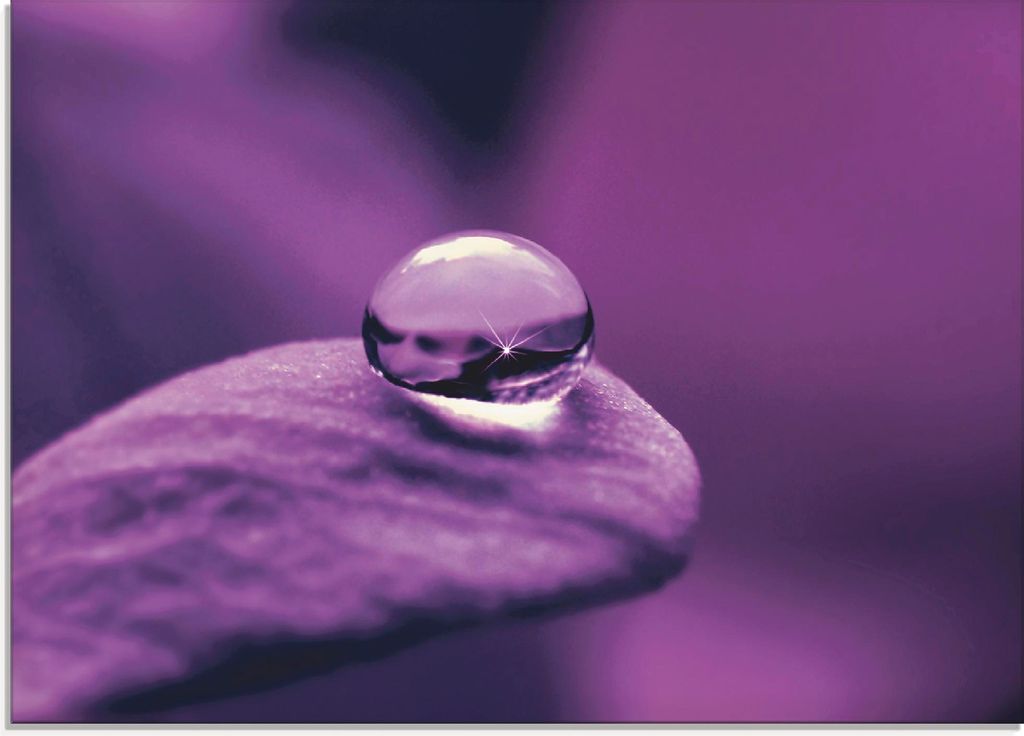ARTland Glasbild Amethyst Größe: 80x60 cm