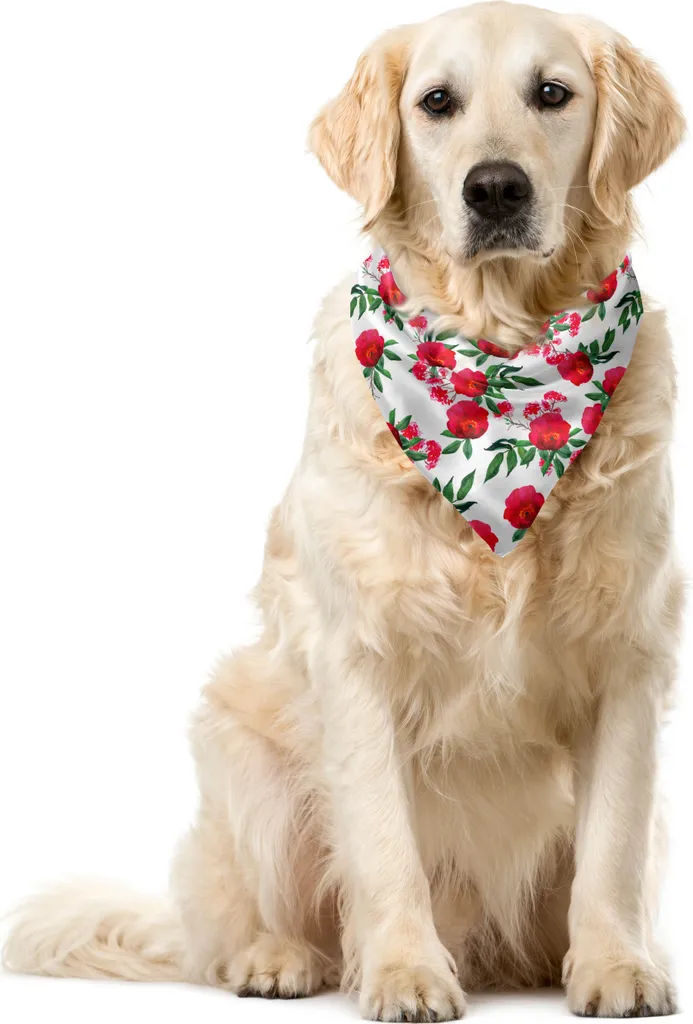 ABAKUHAUS Bandana per animali domestici con fiori, acquerello Wild Roses Art, 55x55 cm, corallo scuro e verde giada