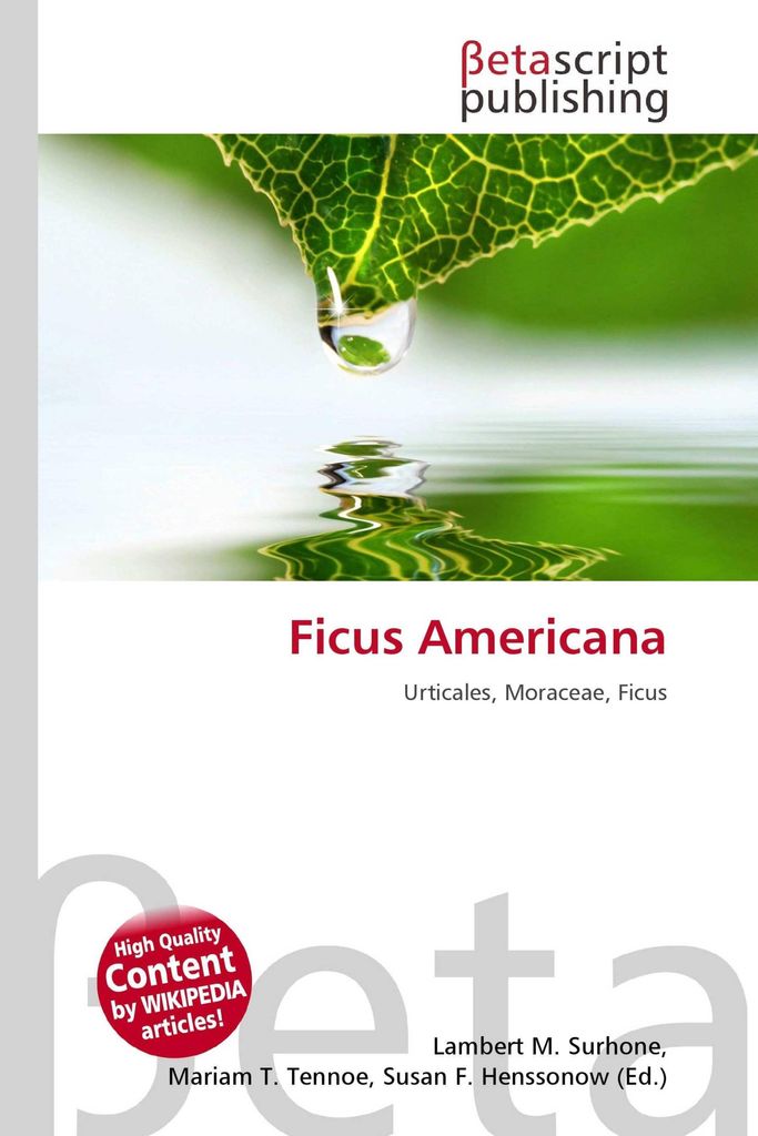 Ficus Americana