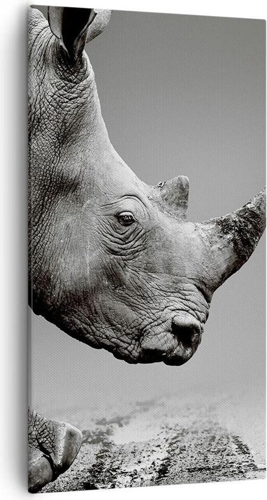 Bild auf Leinwand - Leinwandbild - Einteilig - Nashorn Monochrom Tier - 55x100cm - Wand Bild - Wanddeko - Wandbilder - Leinwanddruck - Bilder - Wan...