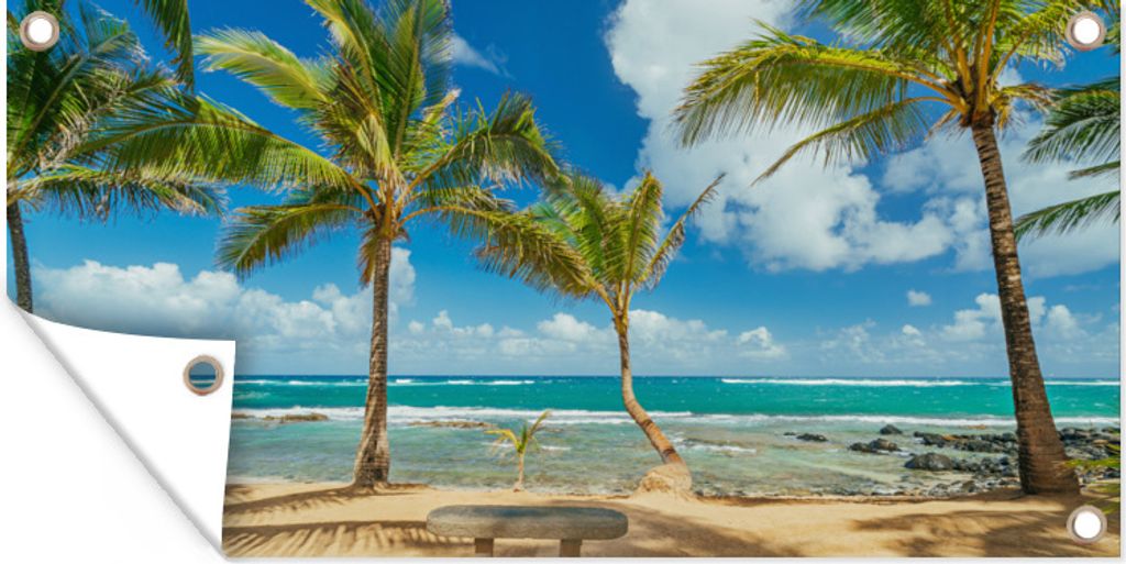 MuchoWow 80x40 cm Outdoor-Poster Gartendeko Sichtschutz Garten Poster für den Garten Palmen am Kuau Cove Beach in Maui