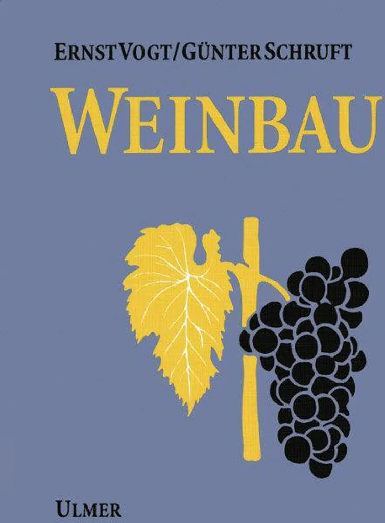 Weinbau thermomètre de cuisine digital pour le contrôle du vin