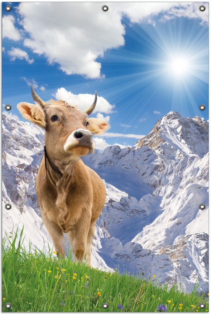 Wallario Outdoor-Poster für Garten oder Balkon, Motiv Kuh im Sonnenschein in den Alpen, in ca. 100 x 150 cm
