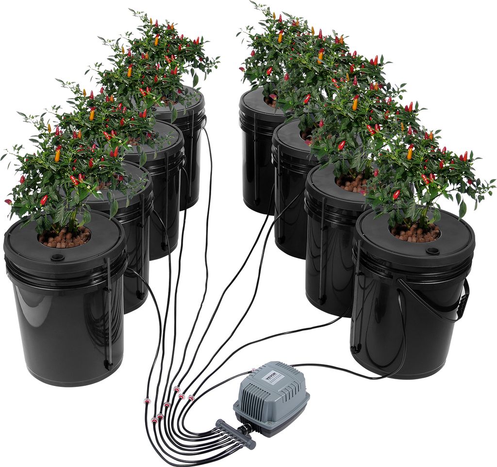 A hydroponics grow system with multiple buckets and plants, connected to an air pump.
