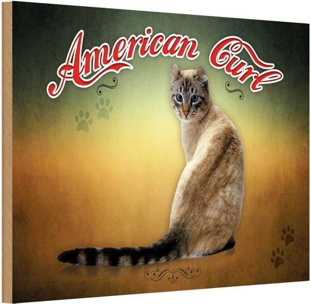 vianmo Holzschild 20x30 cm Katze American Curl Tier Haustier