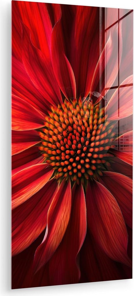 MuchoWow Glasbilder - Bilder auf Wandbild - Foto auf Glas Nahaufnahme - Blume - Rot 60x120 cm Wanddekoration aus Glas - Acrylglasbild - Acrylbilder...