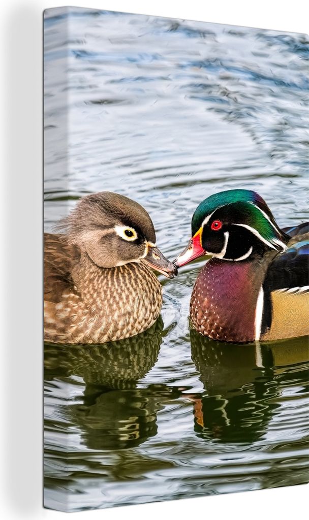 OneMillionCanvasses - Leinwandbilder - 90x140 cm, Ente - Vögel - Wasser - Federn - Tiere, Wandbilder Kunstdruck Wanddekoration - Foto auf Leinwa...