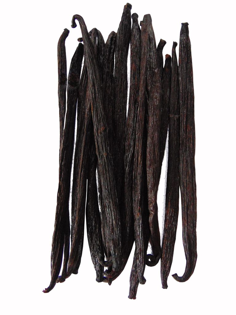 WANILIA LASKI 16 SZT 12-14cm Laska Wanilii GRUBE Zdjęcie produktu 