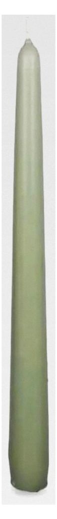 Müller Kerzen - Spitzkerzen Grün - 4er Set - 7 Stunden Brenndauer - 22 × 245 mm - Tropfarm, Raucharm, Duftfrei - Leuchterkerzen für Kerzenhalte...