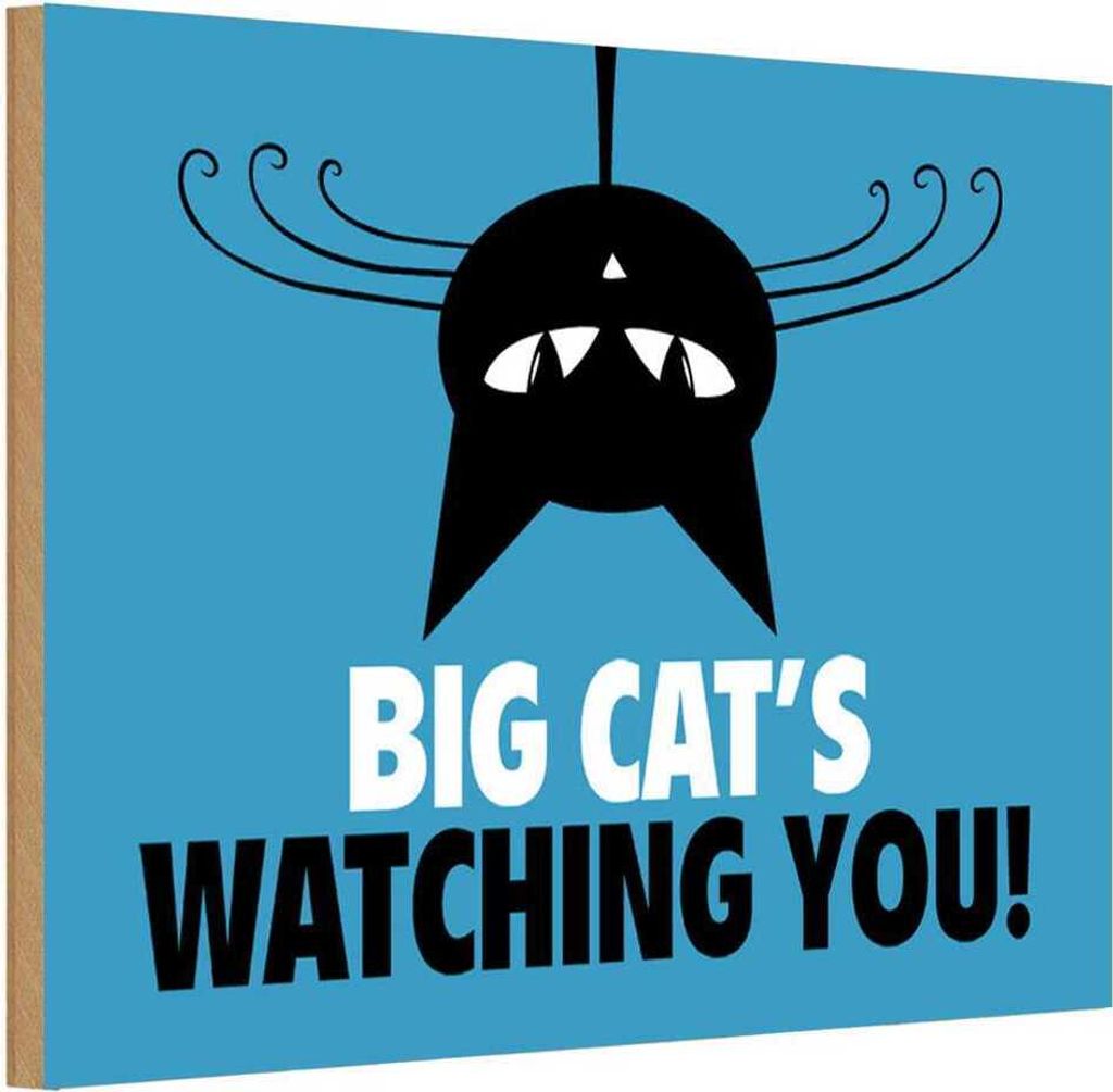 vianmo Holzschild 20x30 cm Big cat`s watching you Katze Tier Haustier