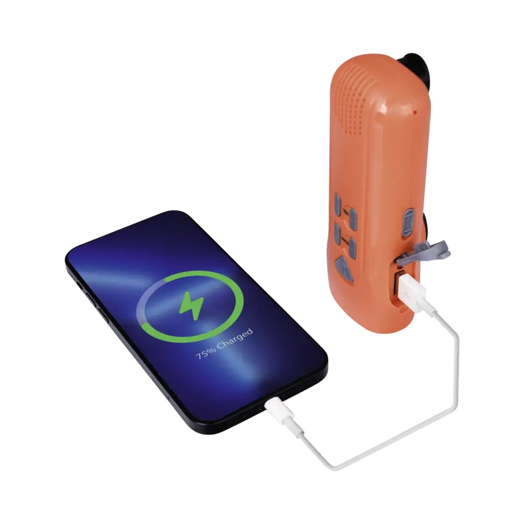 RD5035 Kurbel-Radio Outdoor LED-Taschenlampe mit FM-Radio, Powerbank,