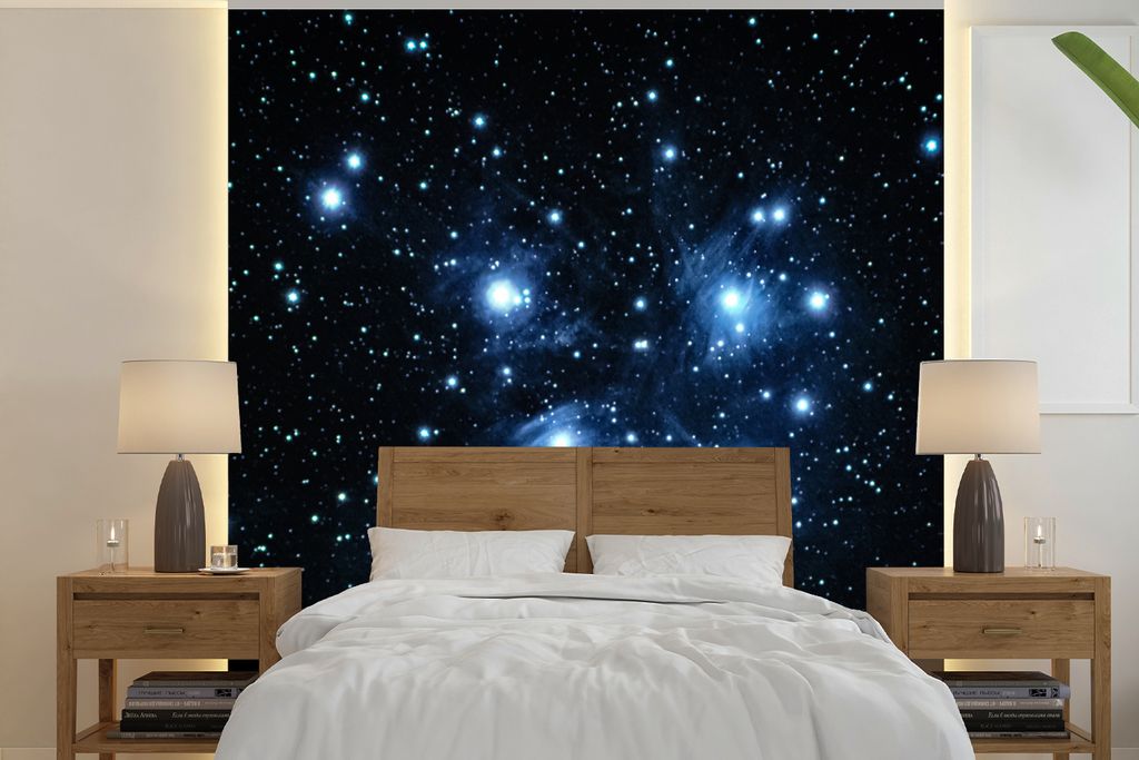 MuchoWow Fototapete für Wohnzimmer oder Schlafzimmer Wandtapete Vinyl Motivtapete Das Tierkreiszeichen Stier - 280x280 cm - Hintergrundbild