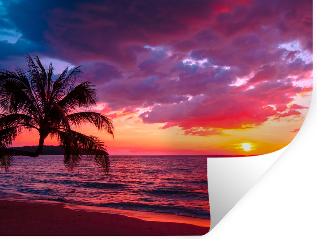 MuchoWow Wandtattoo Wandsticker Wandaufkleber Sonne - Horizont - Rosa - Palme - Meer 80x60 cm Selbstklebend und Repositionierbar - Faltenfrei