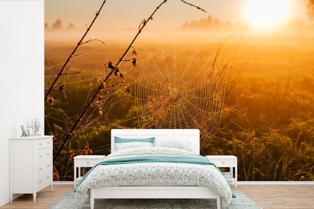 MuchoWow Fototapete für Wohnzimmer oder Schlafzimmer Wandtapete Vinyl Motivtapete Aufgehende Sonne über nebligem Feld mit Spinnennetz - 420x280...