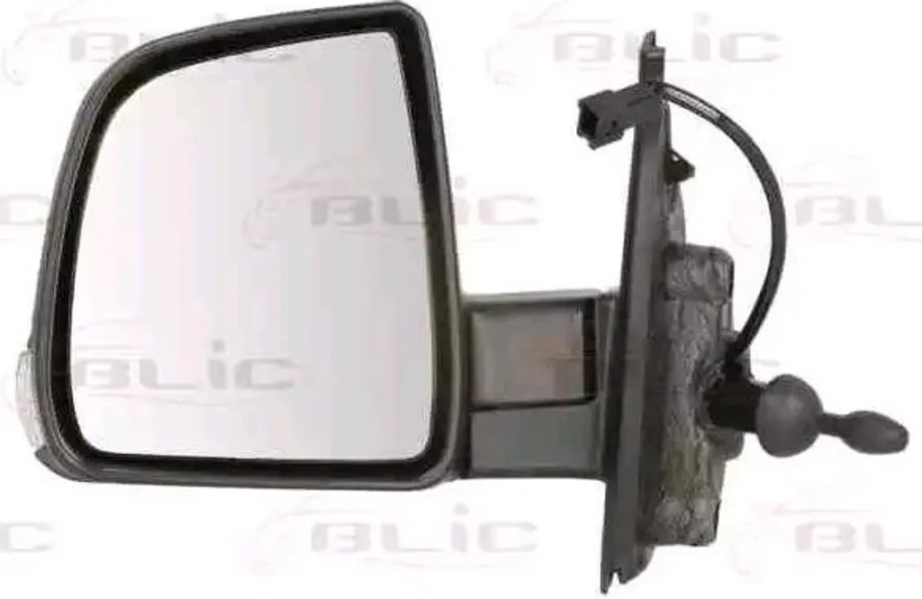 Rétroviseur gauche cassé ? Remplacer par BLIC 5402-07-046363P Fiat Doblo OE