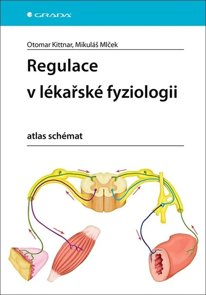 Réussir la physiologie médicale : Atlas de schémas et de régulations