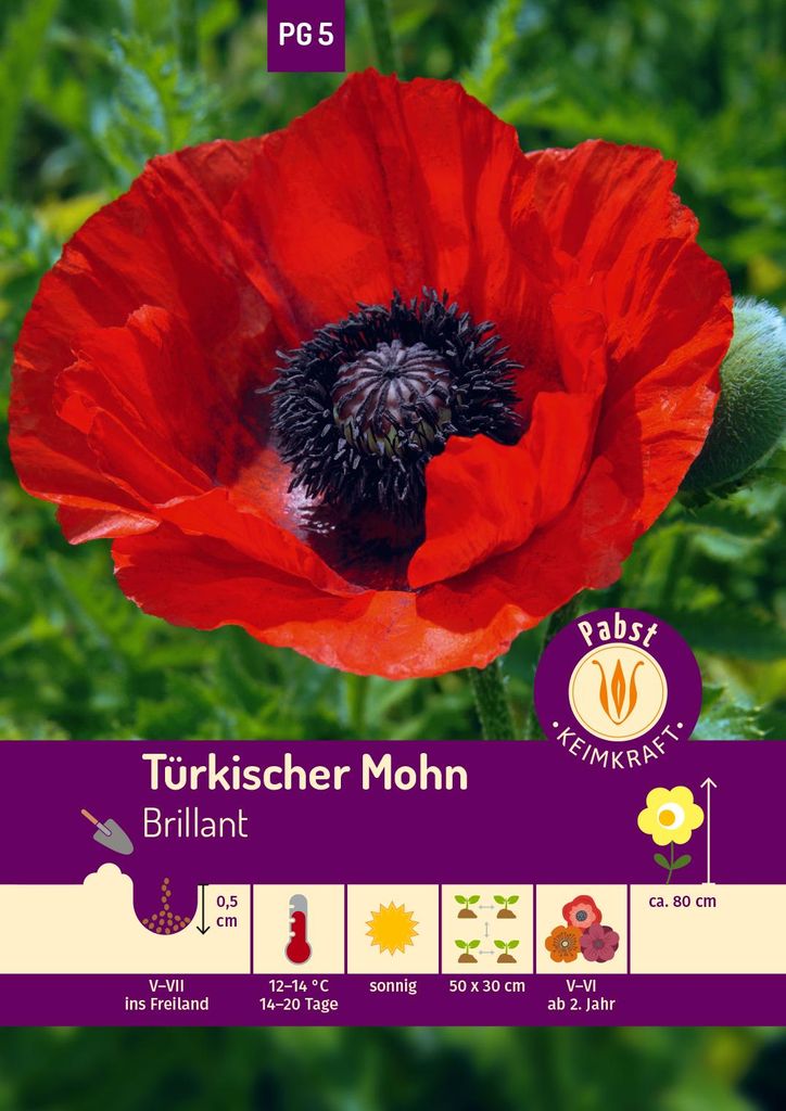 Artikelbild 1 von 'Türkischer Mohn Brillant' aus der Kategorie Mohnsamen