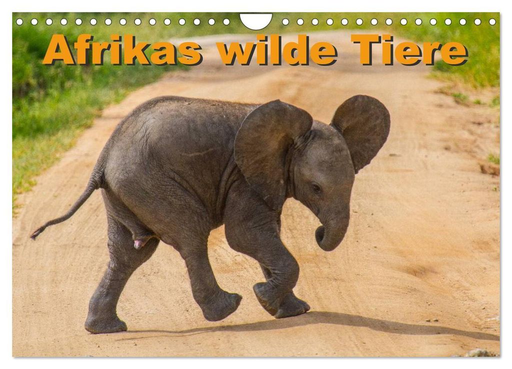 Afrikas wilde Tiere (Wandkalender 2027 DIN A4 quer), CALVENDO Monatskalender