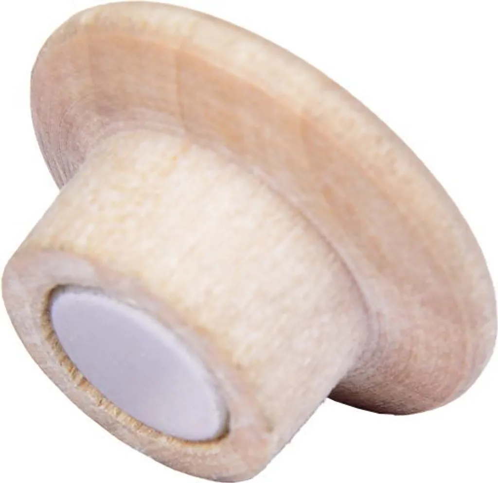 Aimant Wooden 25mm VE=10x5 pièces - Aimants en bois naturel pour tableau