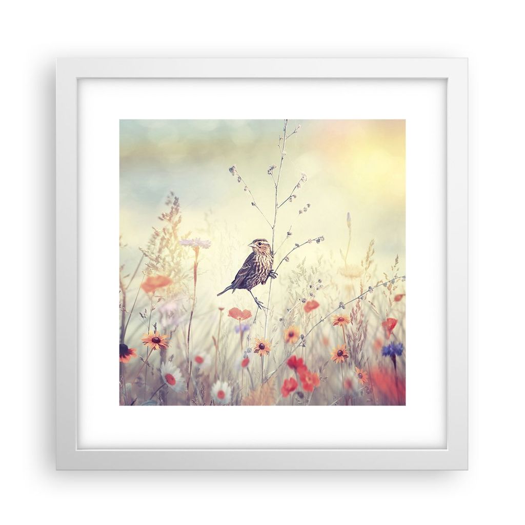 Gerahmtes Poster - Weißer Rahmen - Vogel Wildschwein Wiese - 30x30 cm - Wand Bild - Wanddeko - Wandbilder - Kunstposter - Wandposter - Bilderrahme...