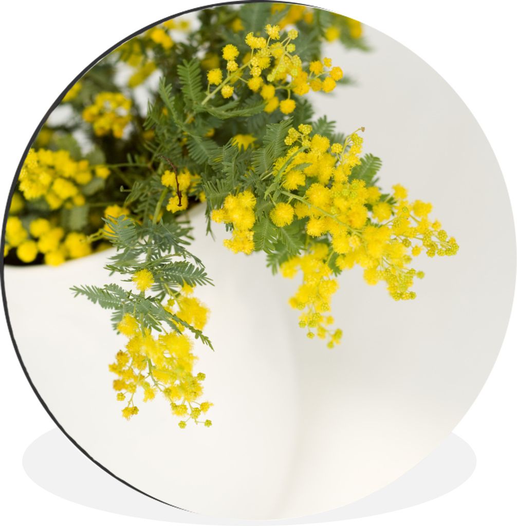 MuchoWow Aluminium Wandkreis Gelbe Mimosenpflanzen mit grünen Blättern in einem großen Topf Ø 90 cm Wanddeko Modern Wohnzimmer - Mauerkreis -...