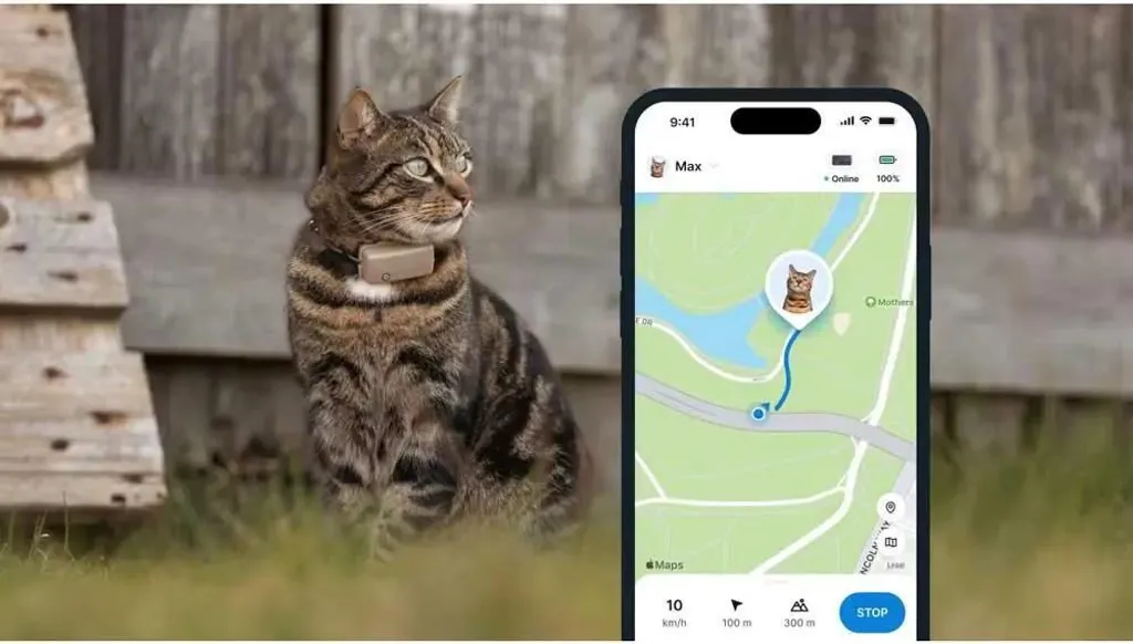 Tractive CAT Mini - GPS pour Chat avec Collier Rogz Marron et Santé - 5