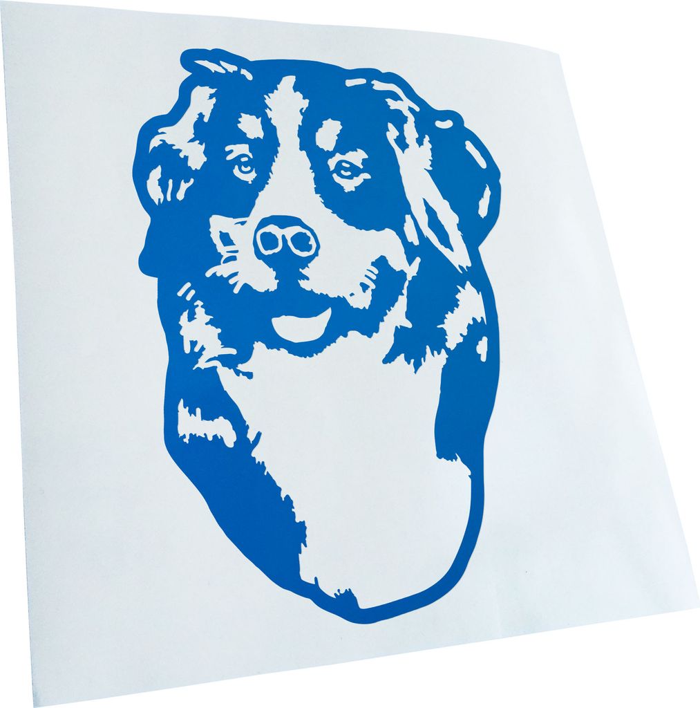 Kiwistar - Autoaufkleber - Bernese Mountain Dog Hund - Blau - 30x21cm - Aufkleber für Auto, Laptop, Fahrrad, LKW, Motorrad mehrfarbig JDM Decal Ra...