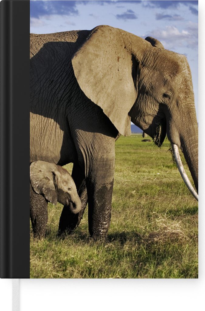 MuchoWow Notizbuch Tagebuch Haushaltsbuch Notebook A5 Elefant - Tiere - Grasland - Grün - Grau - Notizblock - Notizheft - Notebook - Schreibbloc...