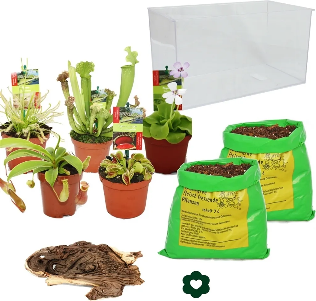 Réussir ses plantes carnivores - Grand aquarium auto-plantation et humidité