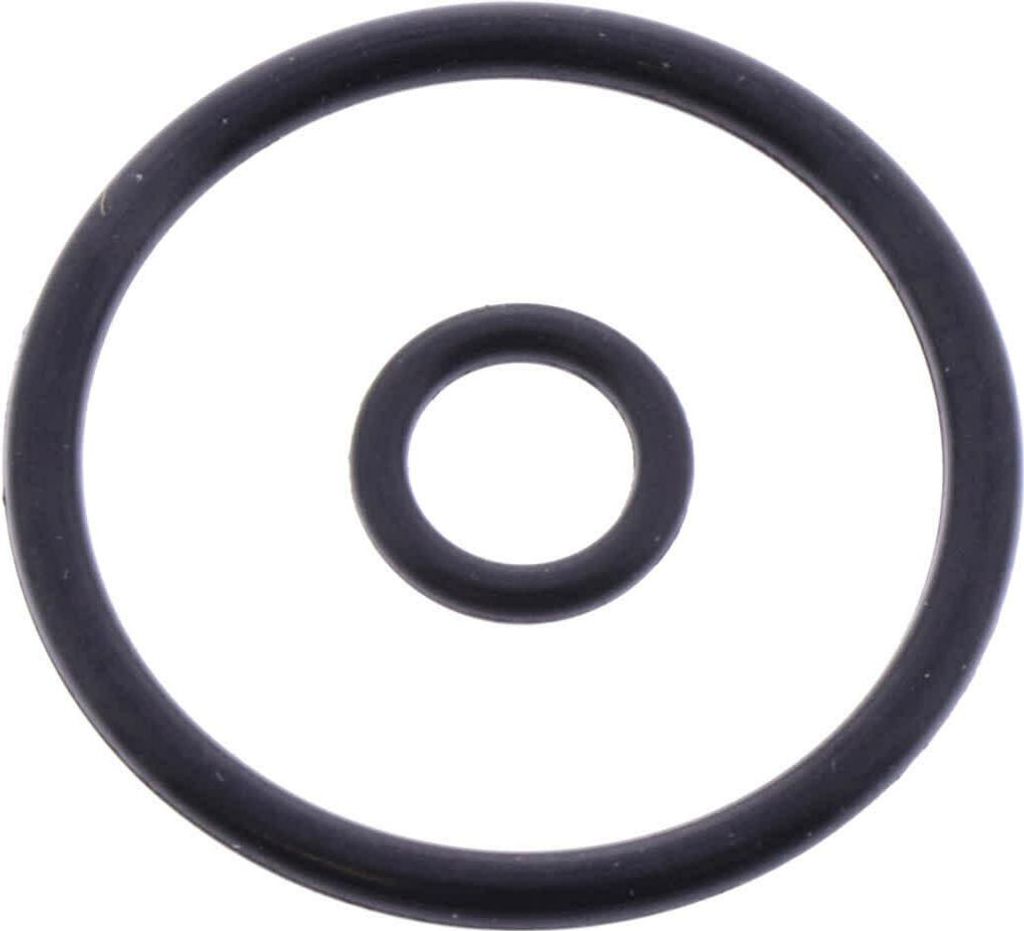 2 O-Ringe für BMW-Motor