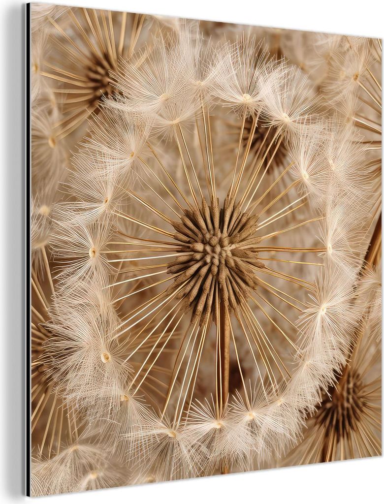 MuchoWow Wanddekoration Metall Metallbild Wandkunst 20x20 cm Löwenzahn - Blumen - Natur - Braun MuchoWow Aluminium Gemälde - Alu Dibond Bilder