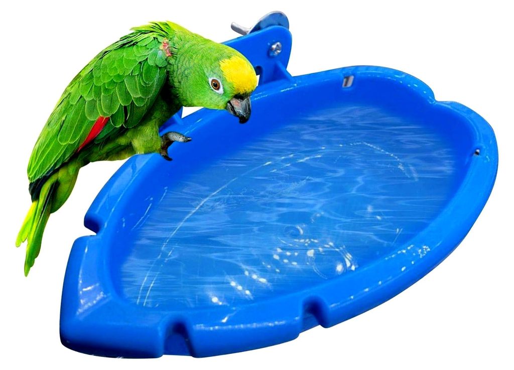 Vogelbadewanne und Futterspender zum Aufhängen für Papageien und Wellensittiche