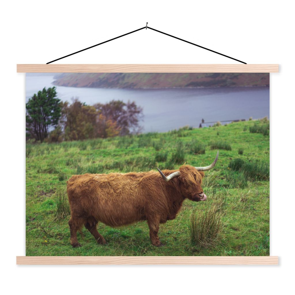 MuchoWow Textilposter Schottische Highlander - Gras - Wasser - Tiere 40x30 cm mit holzfarbenen Rahmen - Bilder