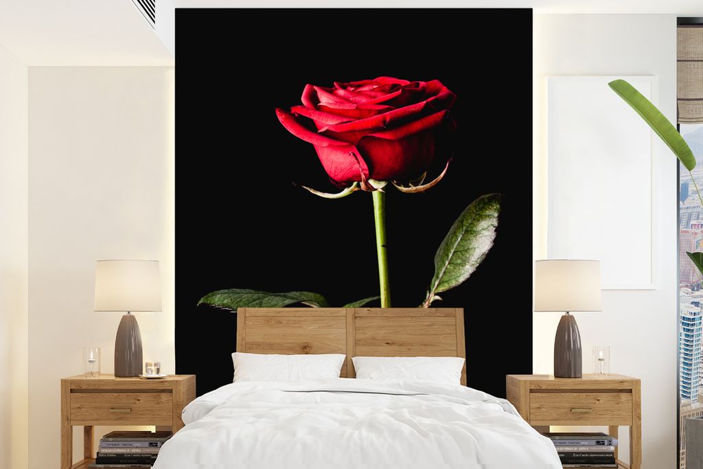 MuchoWow Fototapete für Wohnzimmer oder Schlafzimmer Wandtapete Vinyl Motivtapete Eine rote Rose auf schwarzem Hintergrund - 190x260 cm - Papier...