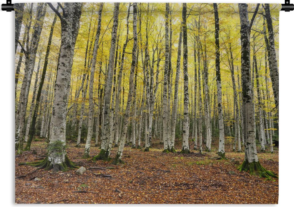 MuchoWow Wandteppich Wandbehang Wald - Bäume - Gelb 60x45 cm Tapisserie Dekoration Wandtuch - Das Schlafzimmer