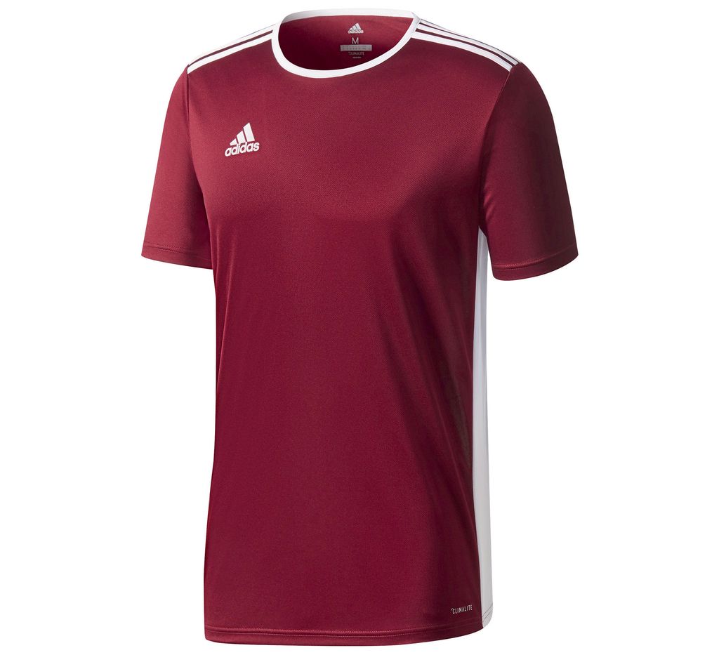 Adidas Entrada 18 Jersey Image du produit 