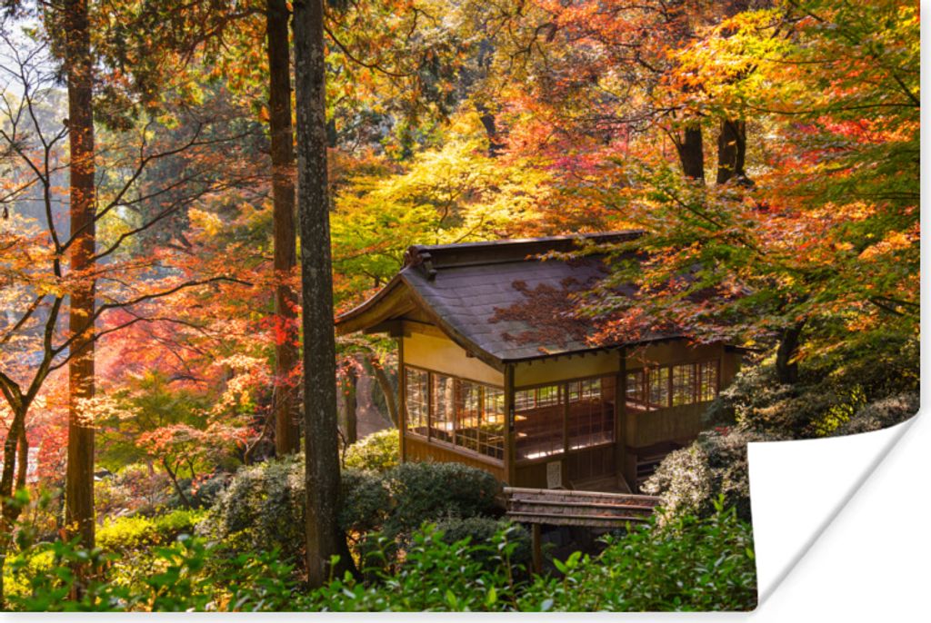MuchoWow Poster Japanische Ahornbäume an einem Pavillon im Wald 90x60 cm - Schlafzimmer