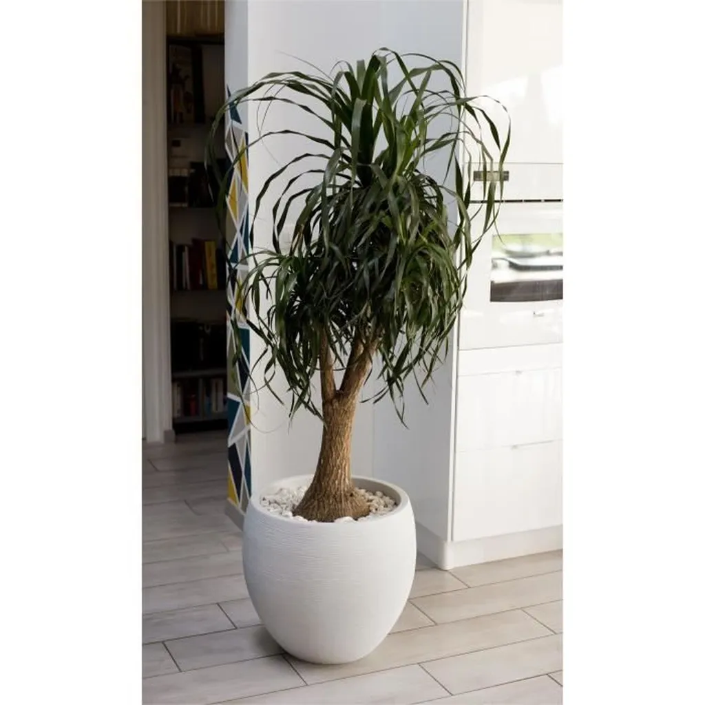Pot de fleurs pour terrasse et balcon blanc 46L Eda Ø 50 cm style moderne