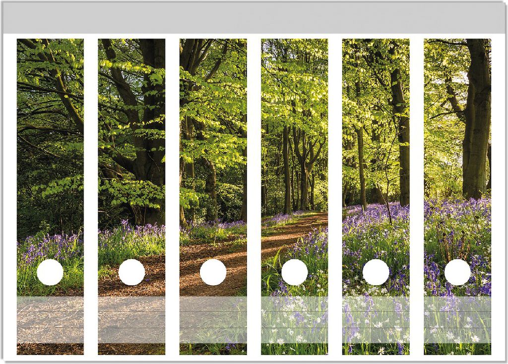 Wallario Ordnerrücken Sticker, selbstklebend für breite Ordner, 6 Stück, Motiv Blaues Hasenglöckchen im Sommerwald