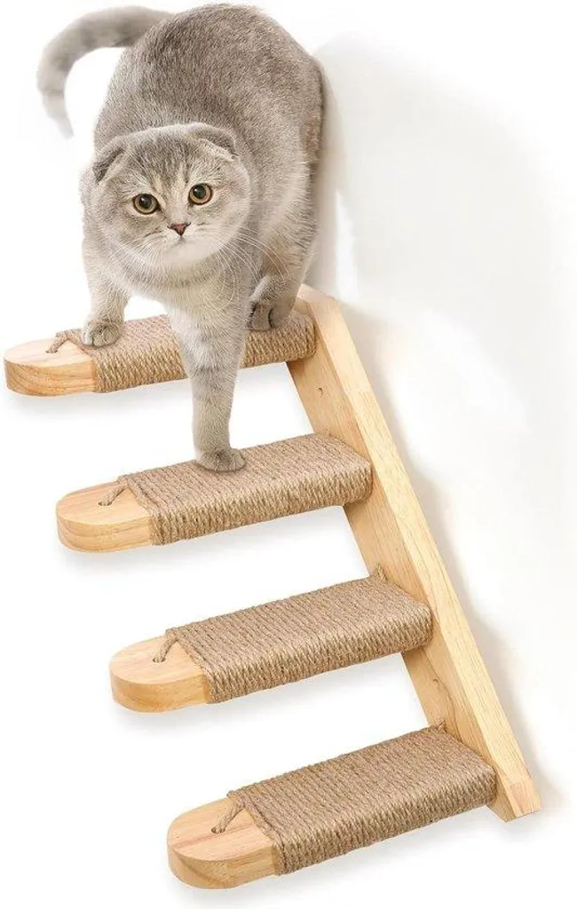 Aide à l'escalade pour chats d'appartement, parcours d'agilité