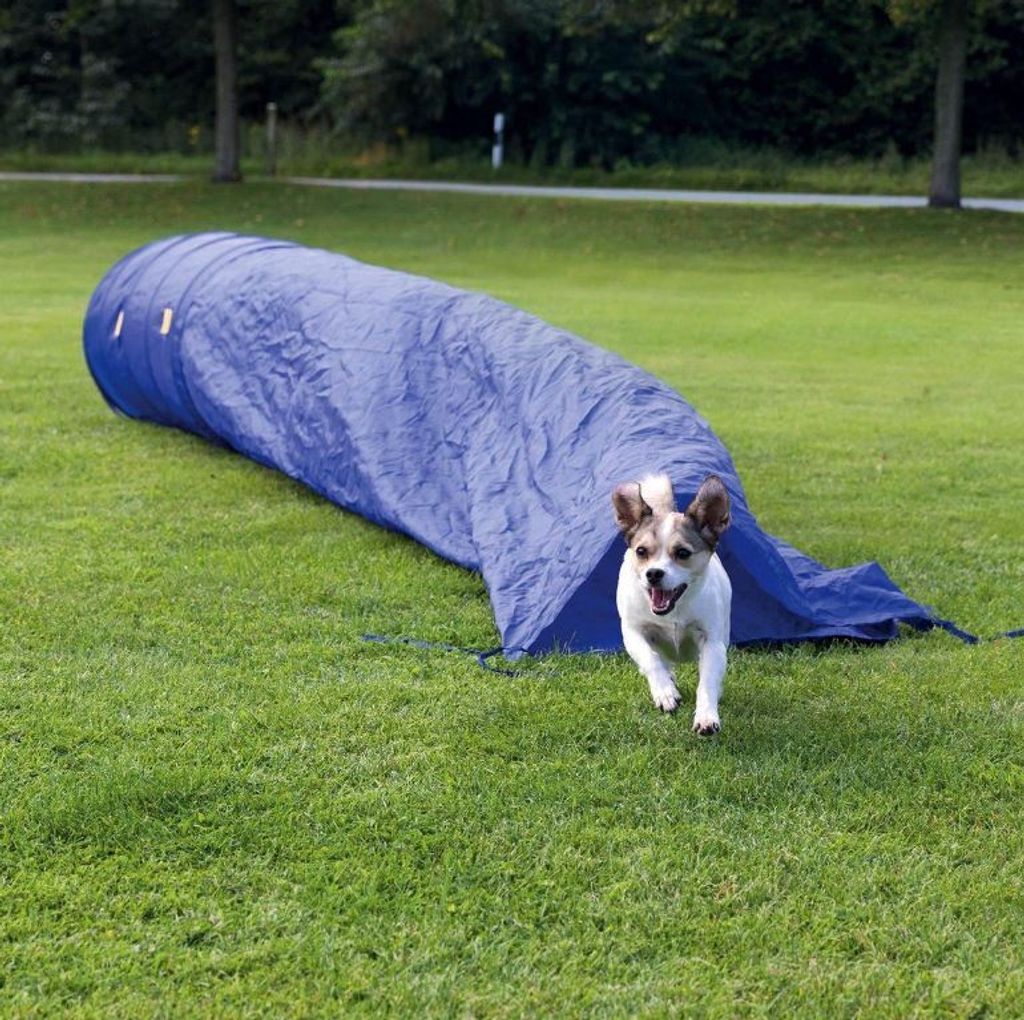 Agility-Taschentunnel 5 Meter – mit Umhängetasche – Hundetunnel, Spieltunnel – Tunnel für Hunde – Hundetraining, Sport und Wettkampf – ...