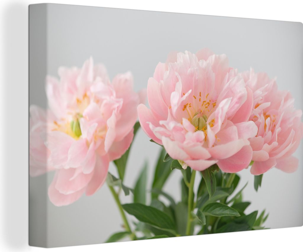 OneMillionCanvasses - Leinwandbilder - 140x90 cm, Blumenstrauß aus rosa Pfingstrosen, Wandbilder Kunstdruck Wanddekoration - Foto auf Leinwand -...
