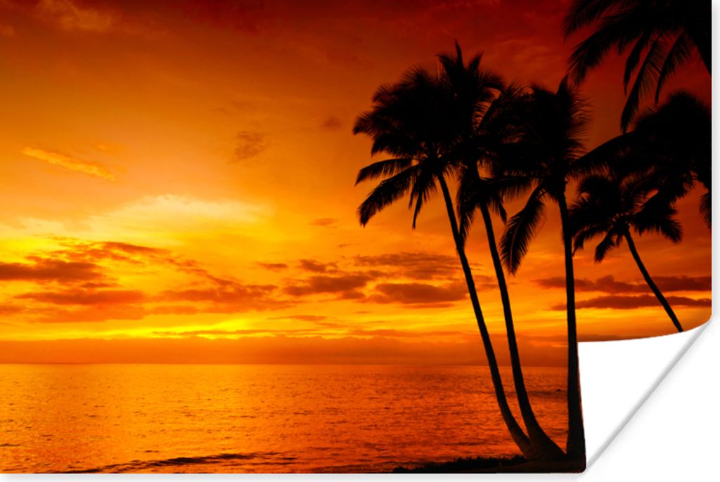 MuchoWow Poster Palme - Sonnenuntergang - Tropisch - Orange - Meer 30x20 cm - Plakate - Print