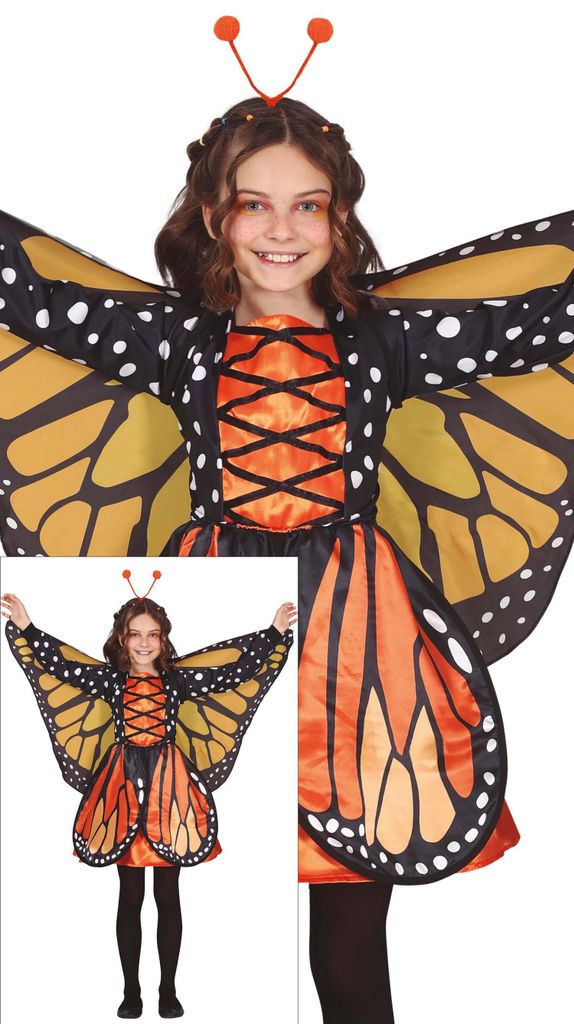 Vlinderkostuum, carnaval, kinder, vastenavond, Productafbeelding 