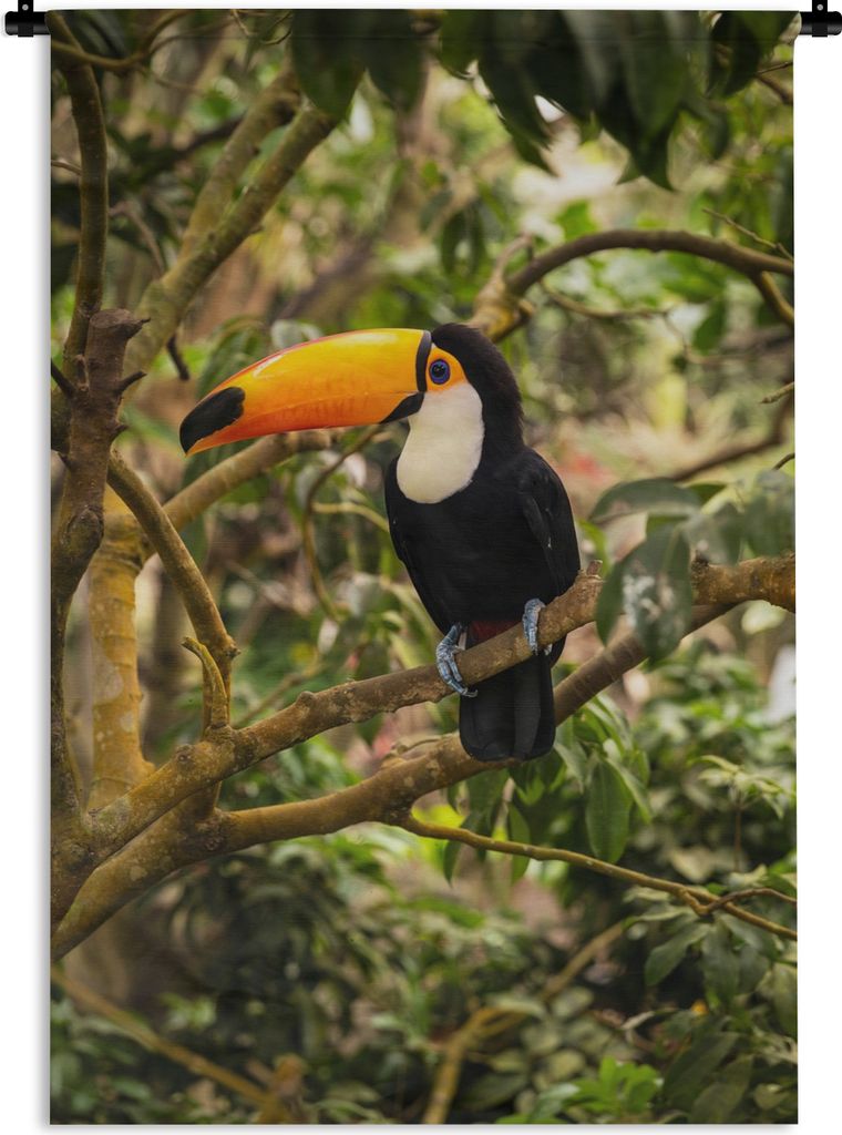 MuchoWow Wandteppich Wandbehang Vogel - Tukan - Dschungel - Natur - Tropisch 90x135 cm Tapisserie Dekoration Wandtuch - Baumwolle - Wandskulptur