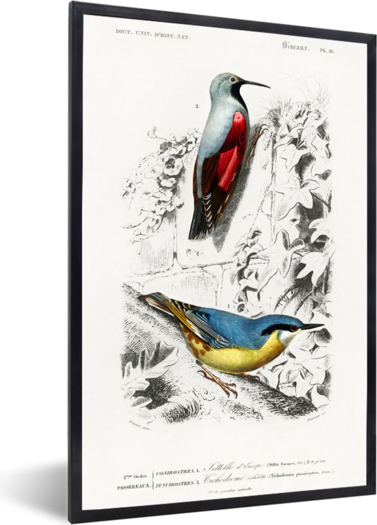 MuchoWow MuchoWow Gerahmtes Poster Vogel - Vintage - Zweig 20x30 cm - Poster mit zchwarzem Bilderrahmen - Drucken - Bilder Poster im Rahmen